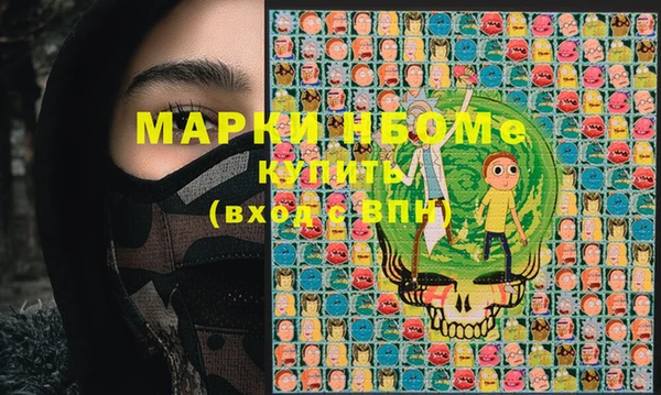 индика Балахна