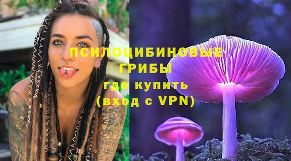 мяу мяу мука Баксан