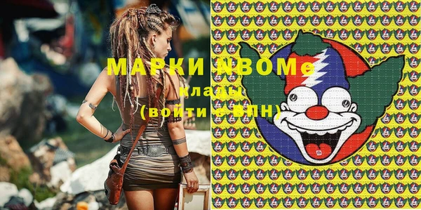 индика Балахна