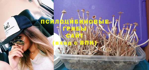 индика Балахна