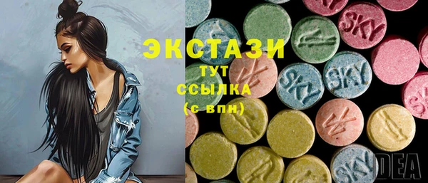 индика Балахна