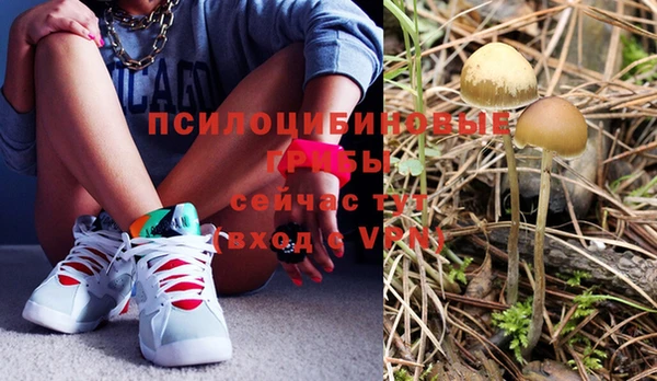 мяу мяу мука Баксан