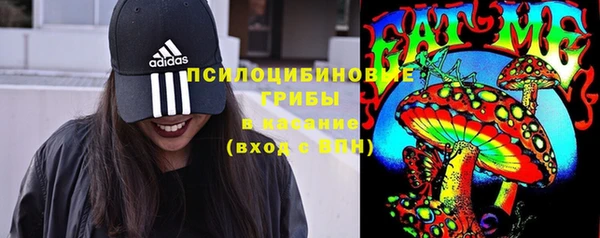 индика Балахна