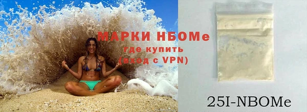 индика Балахна