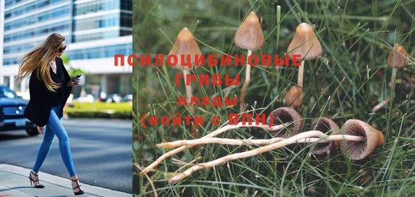 экстази Балабаново