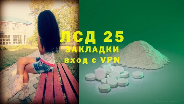 индика Балахна