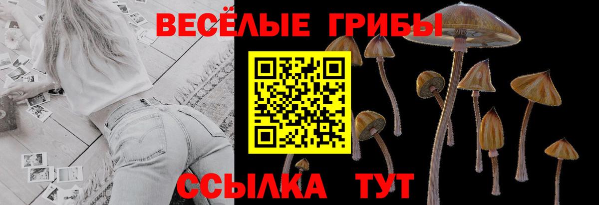 Псилоцибиновые грибы ЛСД Унеча